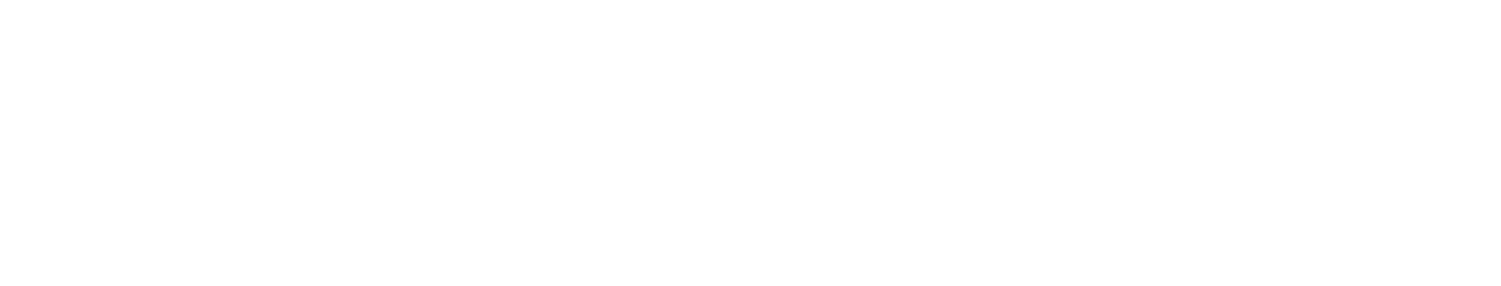 CERTIK logo