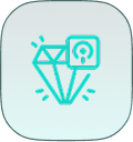 Premium Icon